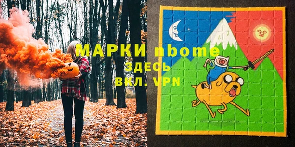 гашик Лабытнанги
