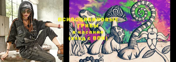 гашик Лабытнанги