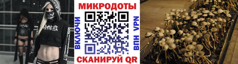 Галлюциногенные грибы мицелий  KRAKEN ССЫЛКА  Орск 