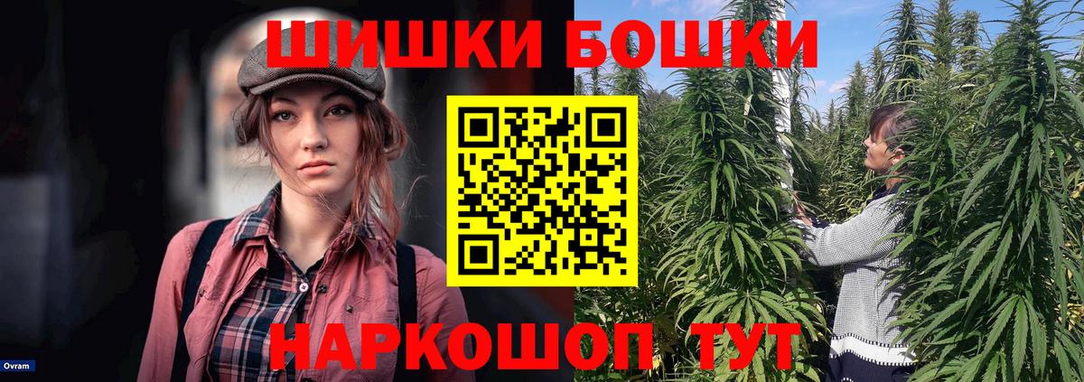 МАРИХУАНА планчик  Марихуана сатива  Орск  МАРИХУАНА THC 21% 